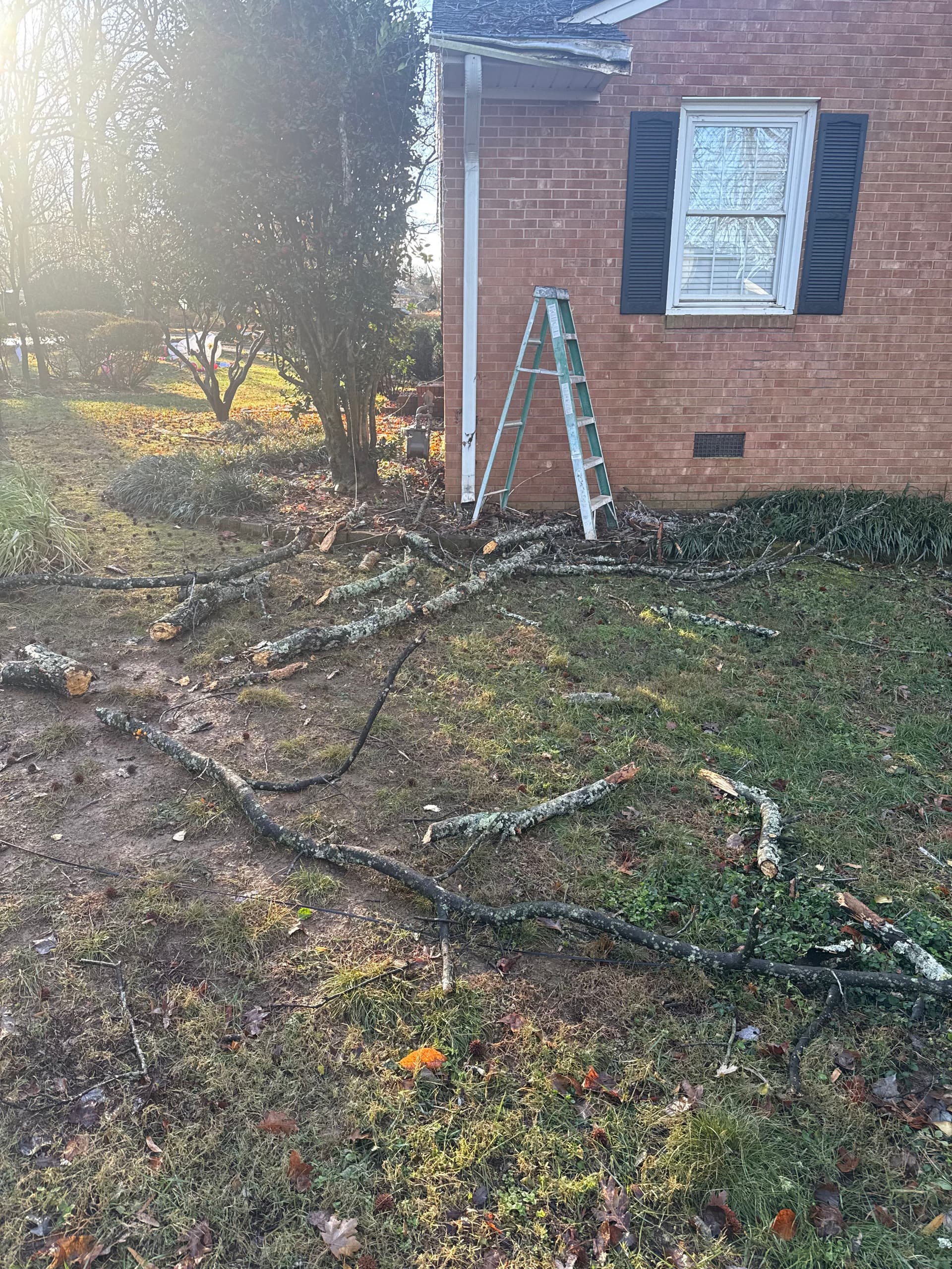 Gallery photos for Roof Repairs After Storm Damage: Image #2