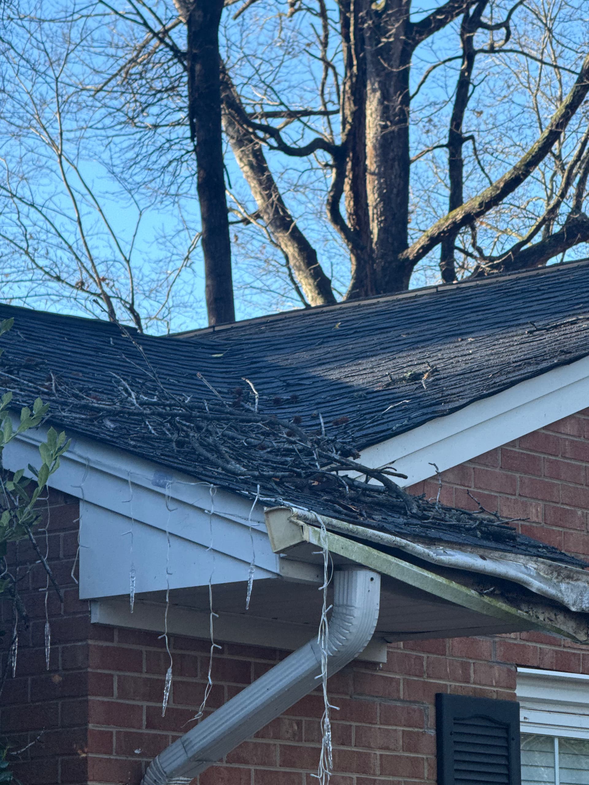 Gallery photos for Roof Repairs After Storm Damage: Image #3