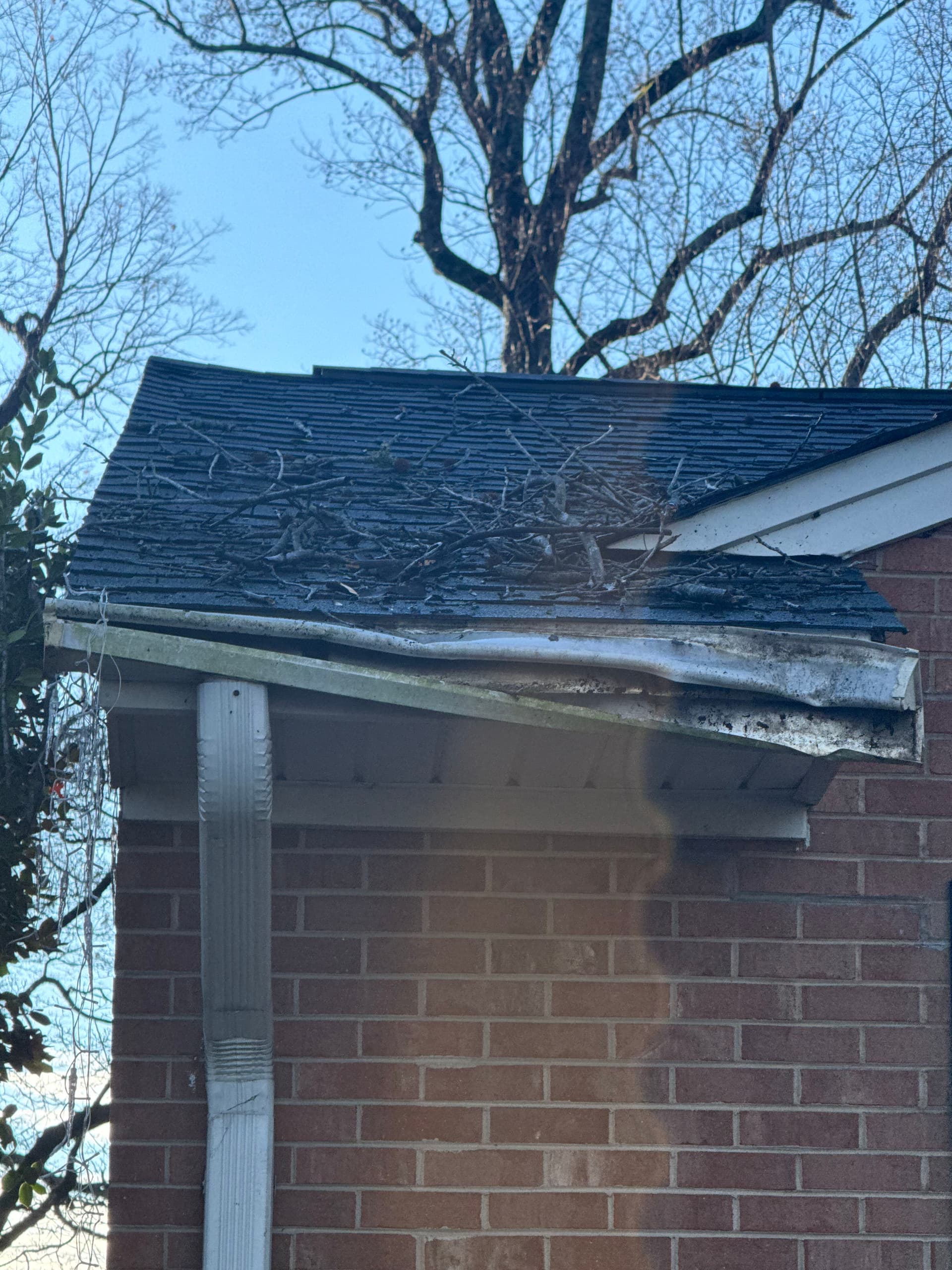 Roof Repairs After Storm Damage image